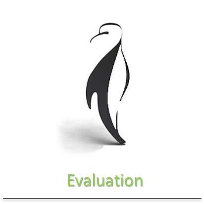  penguin-evaluation-verona-mr-services